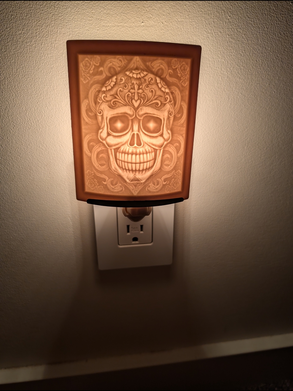 The Porcelain Garden Curved Skull Lithophane Night Light